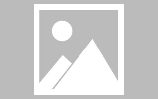 凤城信息系统网页设计（信息系统网页设计主要包括）